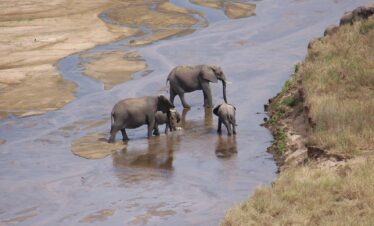 6-Day Northern Tanzania Safari Adventure: Arusha National Park, Tarangire, Lake Manyara & Mto wa Mbu Cultural Tour