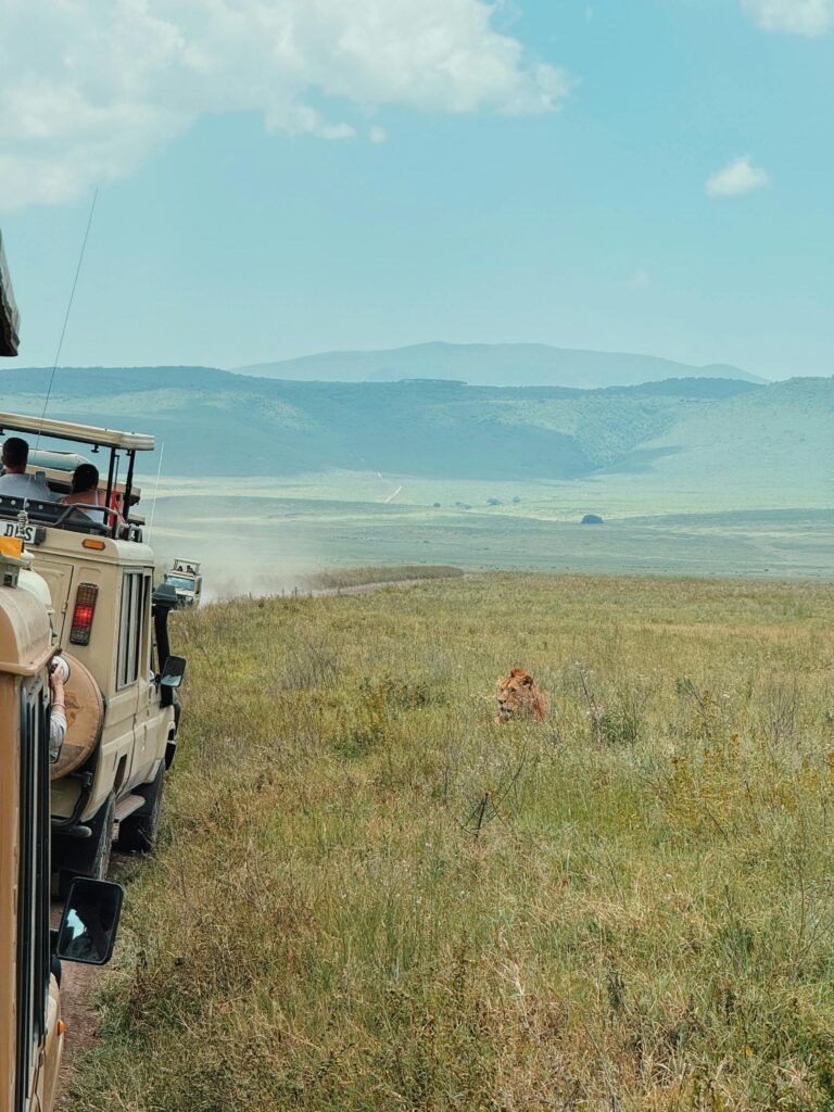 View of inside Ngorongoro Crater
